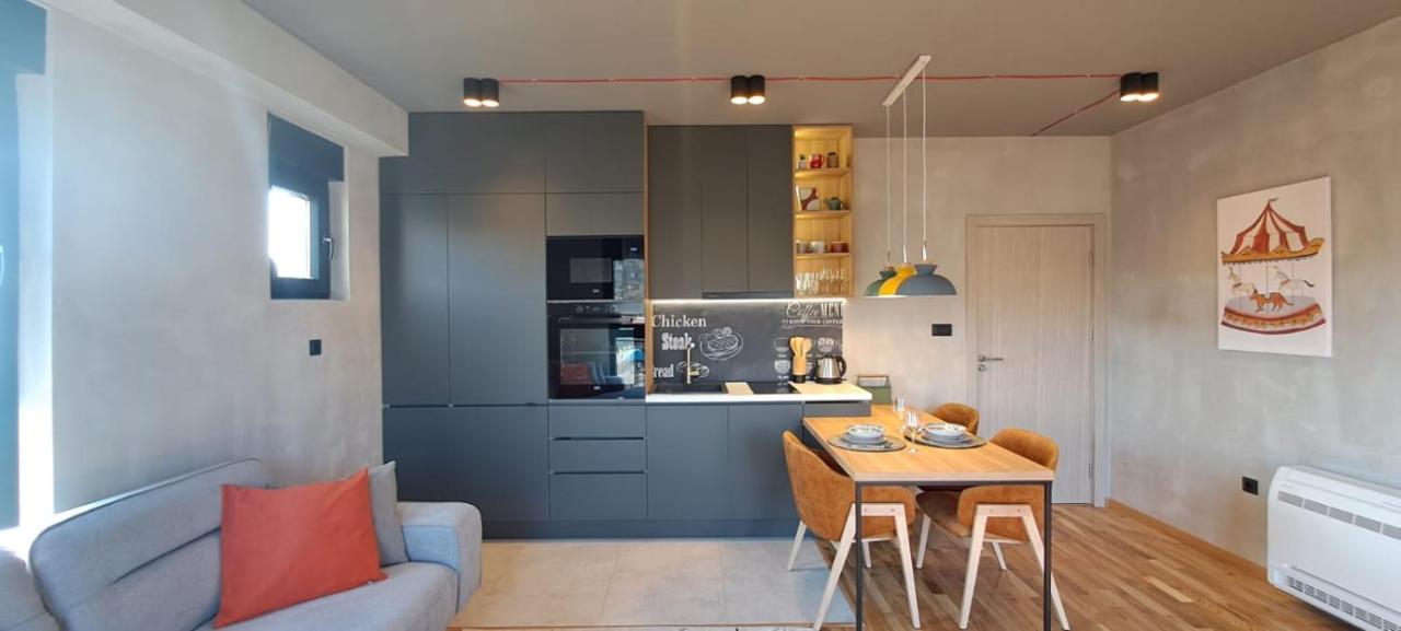 Stylish One Bedroom Apartment Подгориця Екстер'єр фото